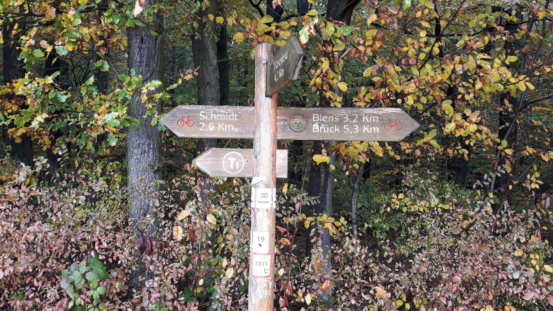 0010 Wandertag 2016 012