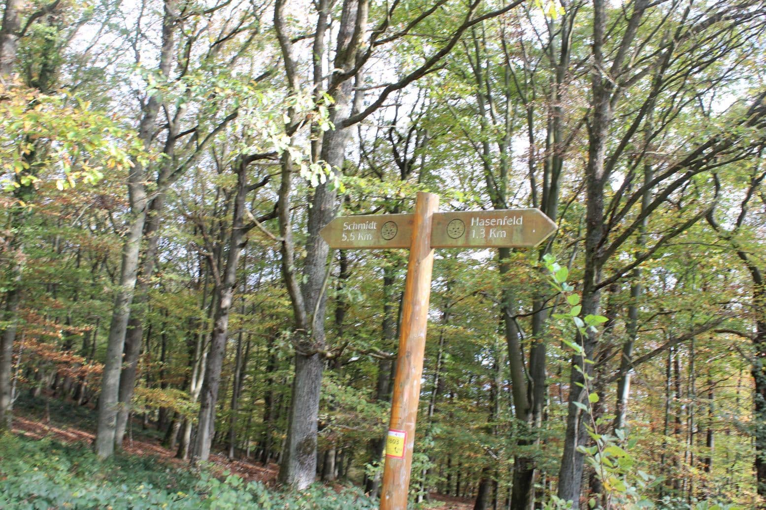 0015 Wandertag 2017 018